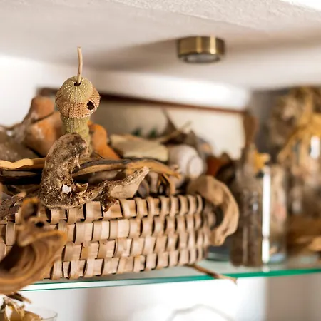 Case de vacanță Conchiglia Kiotari