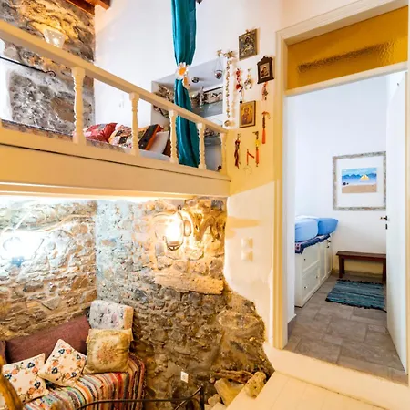 Conchiglia Case de vacanță *