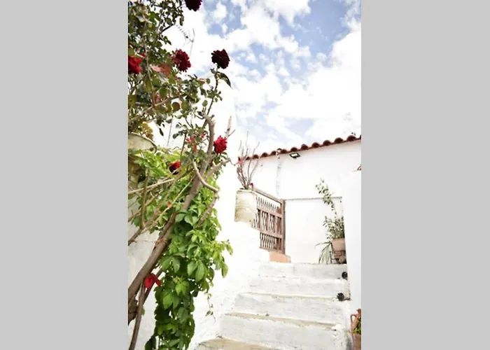 Hébergement de vacances Conchiglia